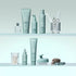 Aveda Scalp Solutions Balancing Shampoo - GLAM MODA